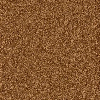 Draufsicht Girloon Cloud 280 Velours Teppichboden